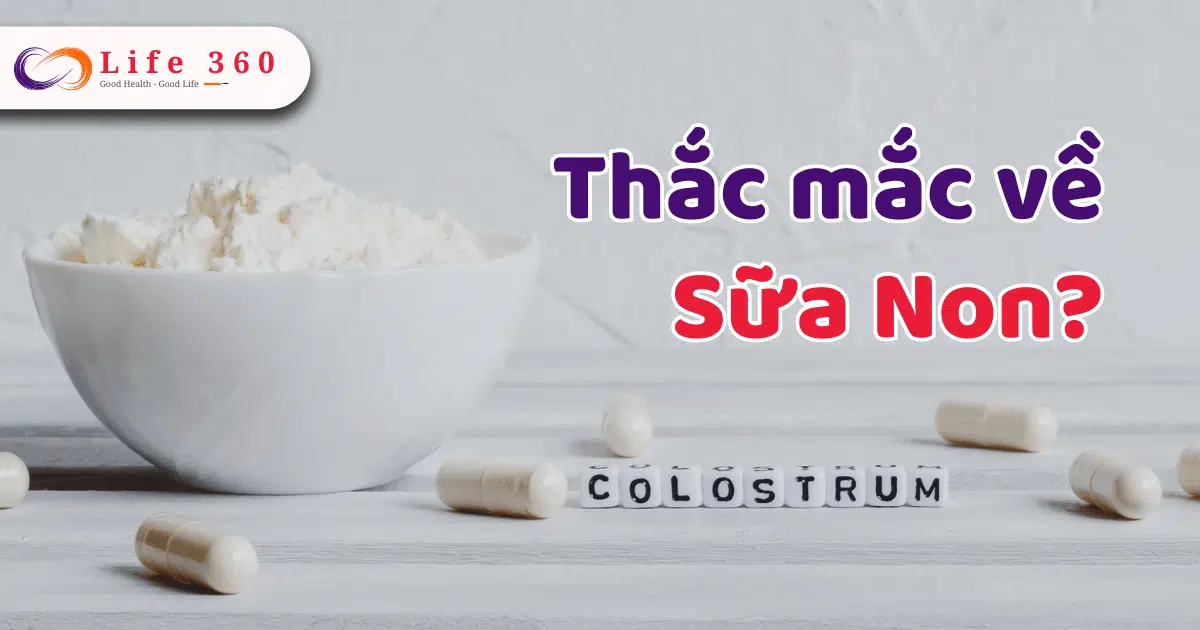 thac mac ve sua non cau hoi thuong gap 00